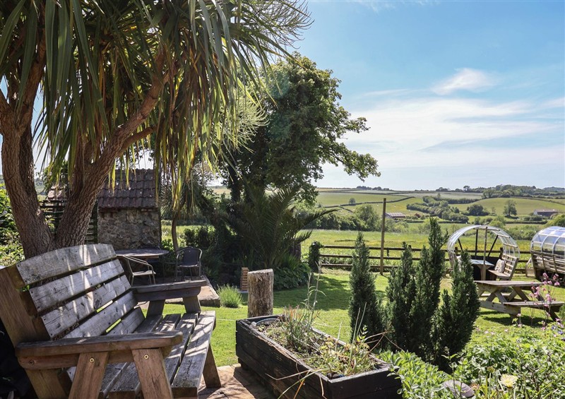 Enjoy the garden at Eggardon Rest, Askerswell near Bridport