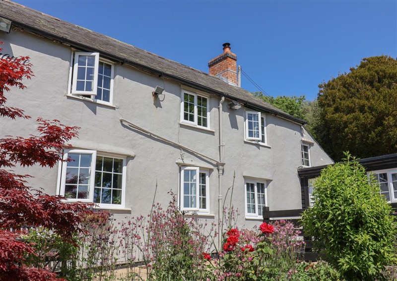 Outside at Eggardon Rest, Askerswell near Bridport