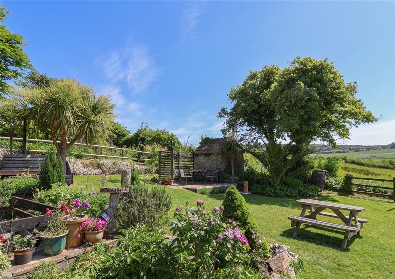 This is the garden at Eggardon Rest, Askerswell near Bridport