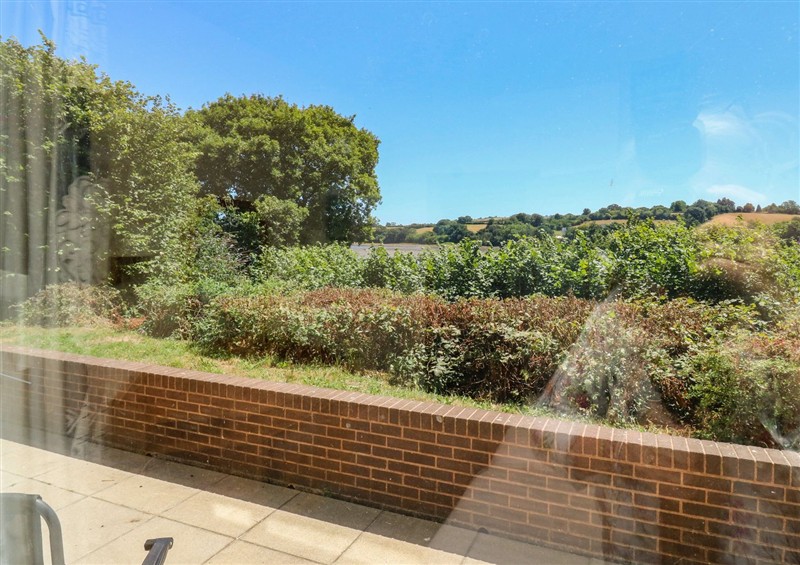 This is the garden at Egret, Kingsteignton