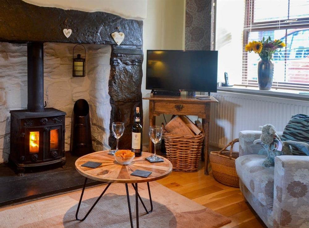 Cosy living area with a lovely wood burner at Eirianfa in Penmachno, near Betws-y-Coed, Conwy, Gwynedd