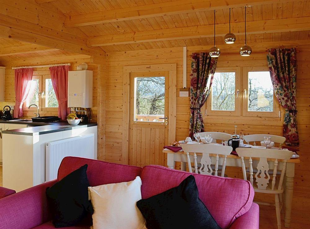 Open plan living makes everything easy and relaxing at Elderflower Lodge in Stoulton, near Malvern, Worcestershire