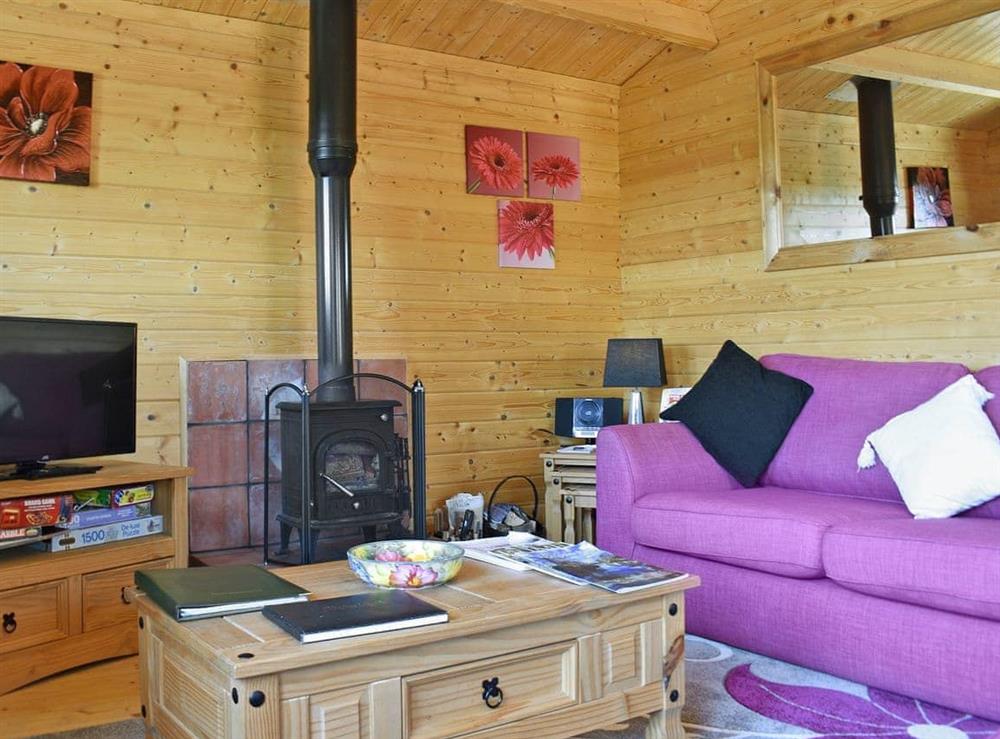 Welcoming living area with wood burner (photo 2) at Elderflower Lodge in Stoulton, near Malvern, Worcestershire