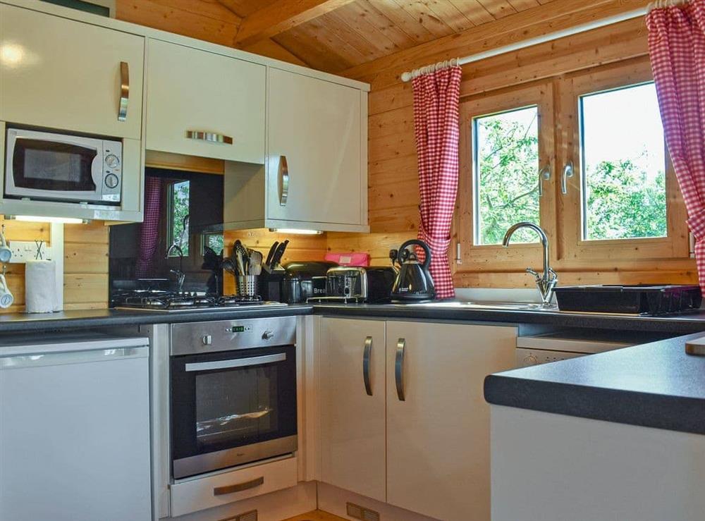 Well equipped kitchen area at Elderflower Lodge in Stoulton, near Malvern, Worcestershire