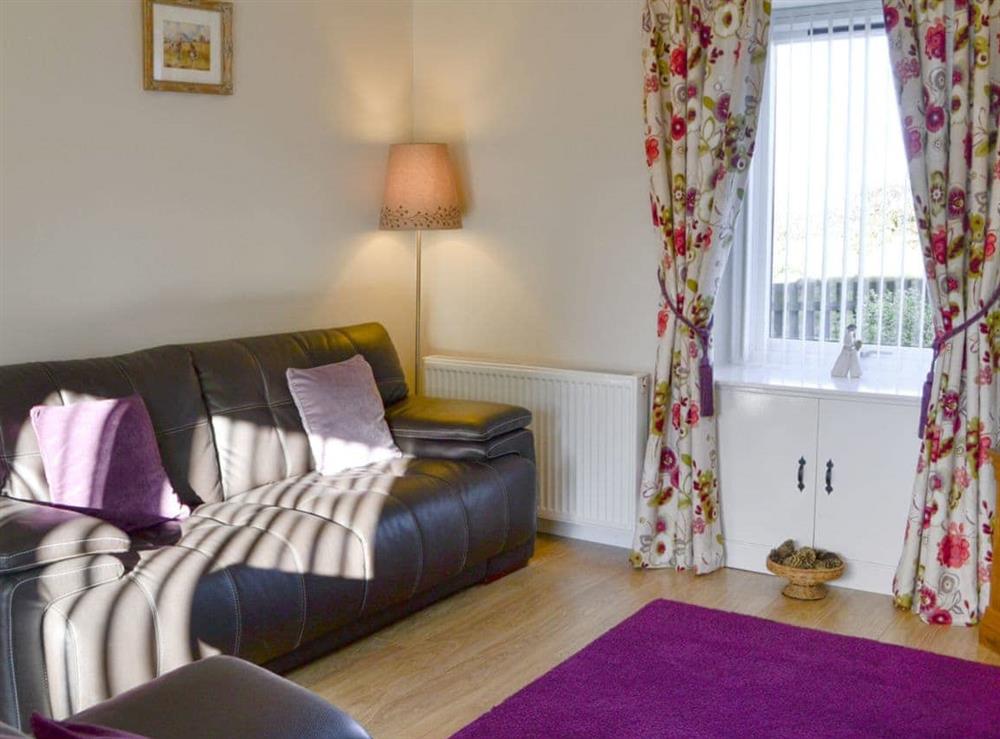 Comfortable living room (photo 2) at Eliza Cottage in Haddington, East Lothian