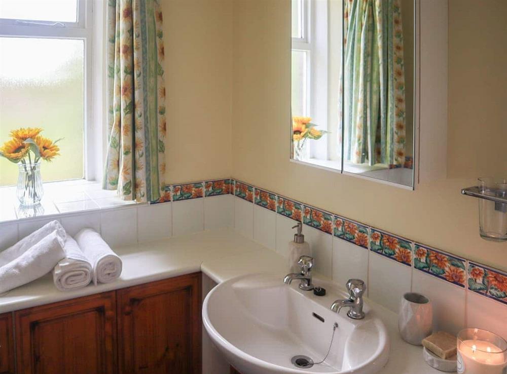 Bathroom (photo 2) at Elizabeth Lodge in Ashford, Aberdeenshire