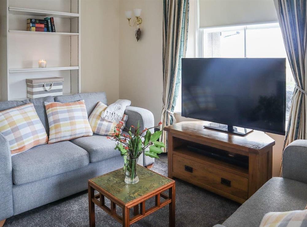 Living room (photo 2) at Elizabeth Lodge in Ashford, Aberdeenshire