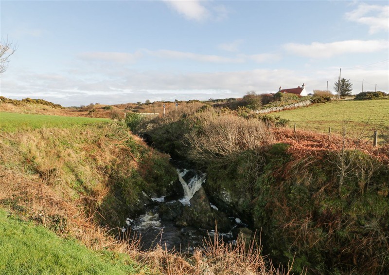 Outside at Ellies House, Portpatrick