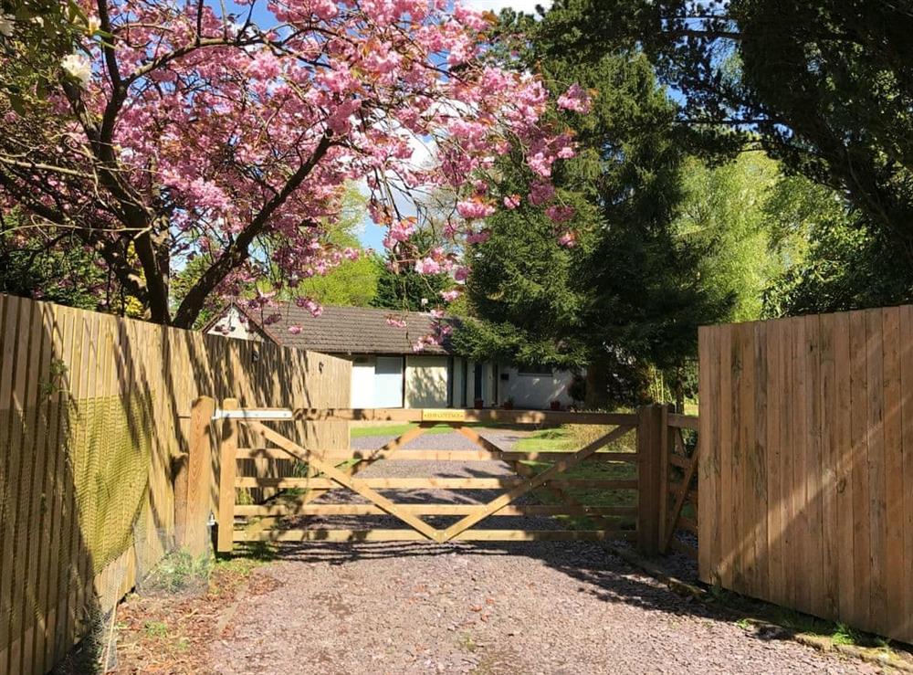 Welcoming detached holiday home at Elm Cottage in Falkirk, Stirlingshire