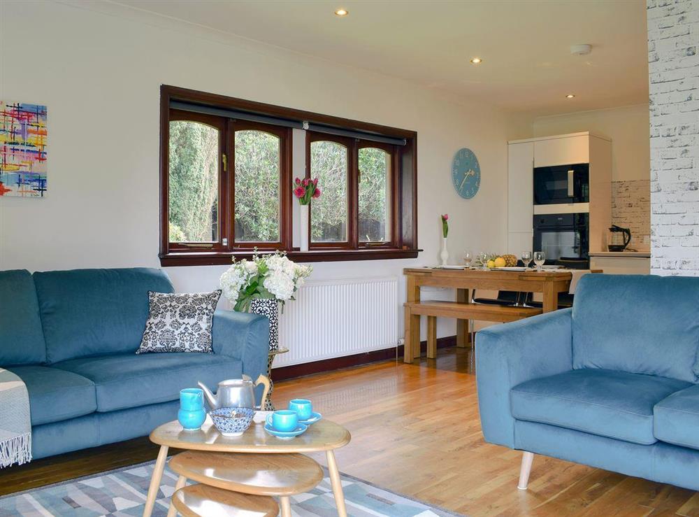 Well presented open plan living/dining room/kitchen at Elm Cottage in Falkirk, Stirlingshire