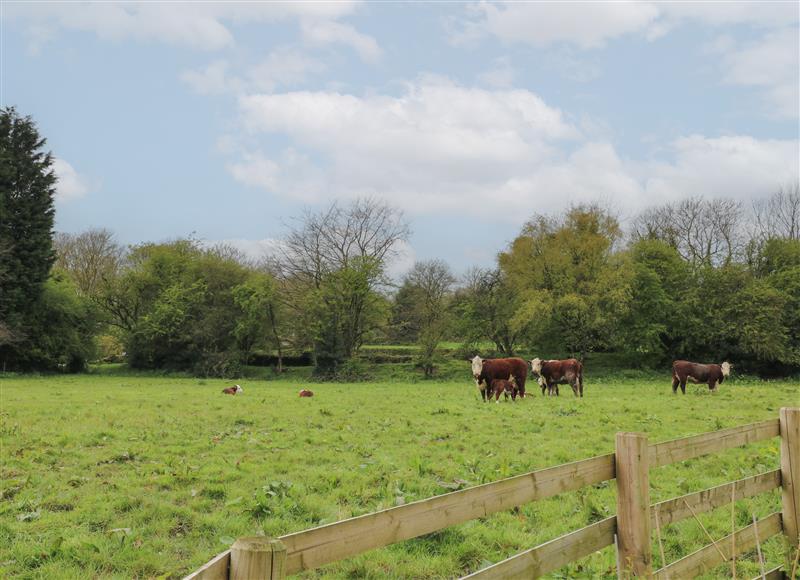 The setting around Elm Cottage - Fold Yards