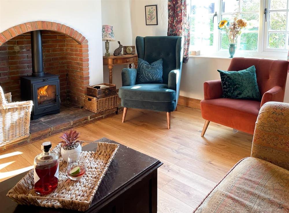 Living room at Elm Cottage in Thornton-le-Moor, near Northallerton, North Yorkshire