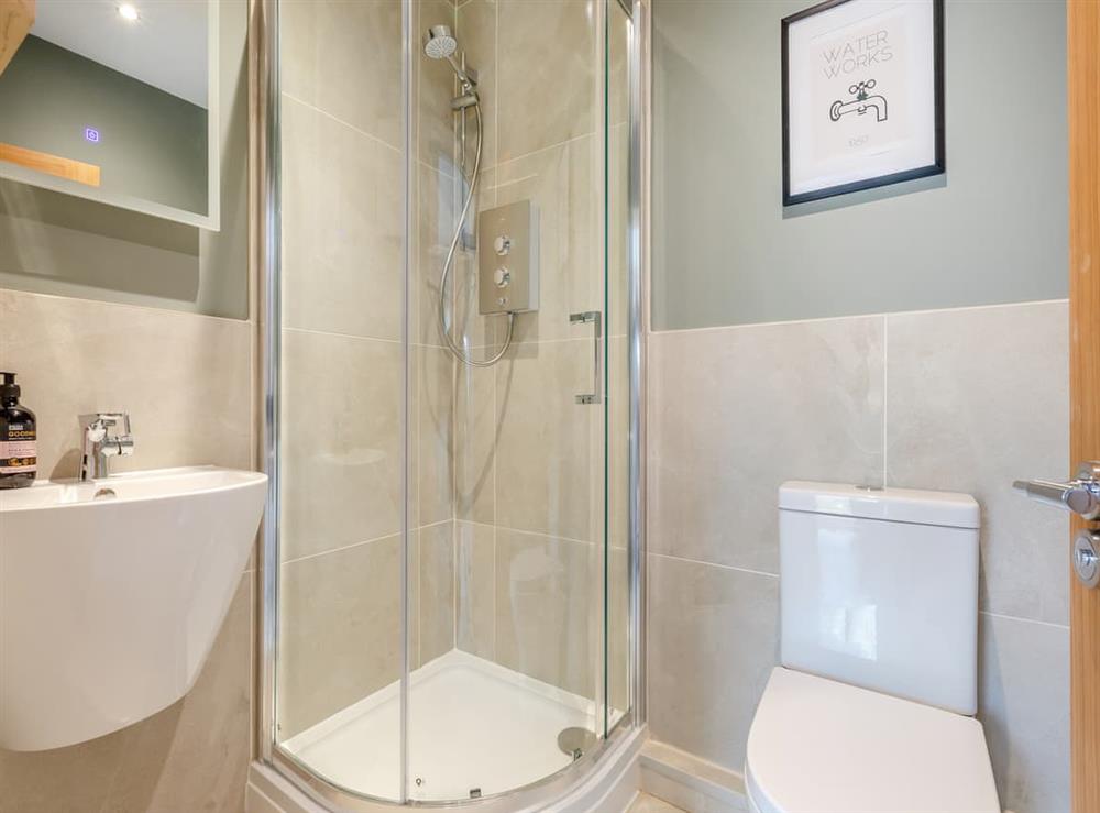 Shower room at Elm Tree Farm Annexe in East Brent, near Highbridge, Somerset