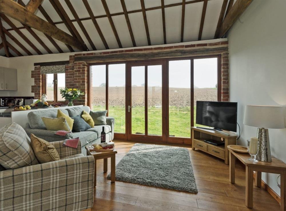 Bright and airy living area at Elmtree Barn in Skeyton, near North Walsham, Norfolk
