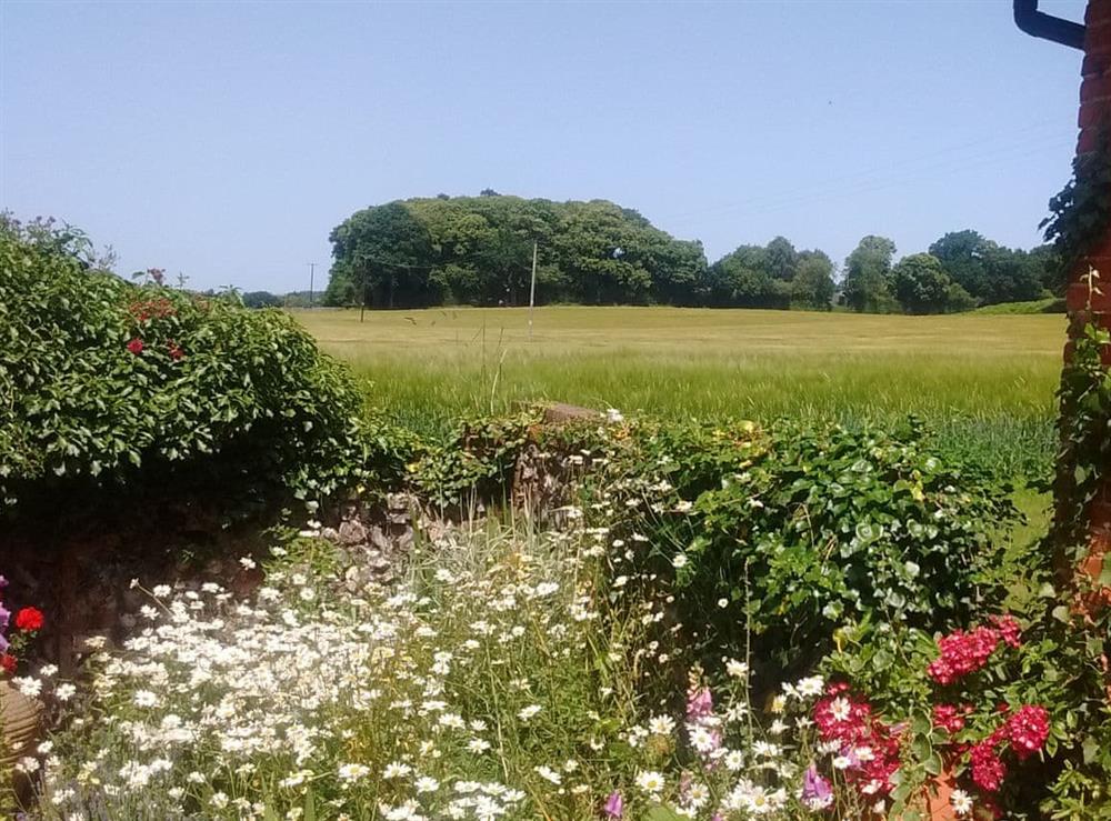 Far reaching views from the garden at Elmtree Barn in Skeyton, near North Walsham, Norfolk