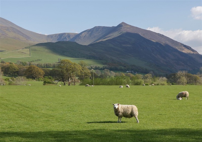 This is the garden (photo 3) at Elter Luxury Pod, Keswick