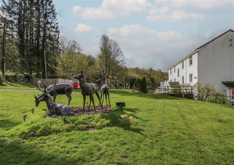 This is the garden at Elter Luxury Pod, Keswick