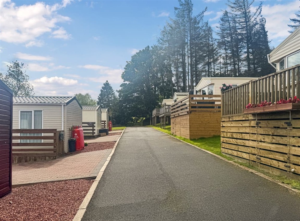 Setting at Emerald Pines in Hexham, Northumberland