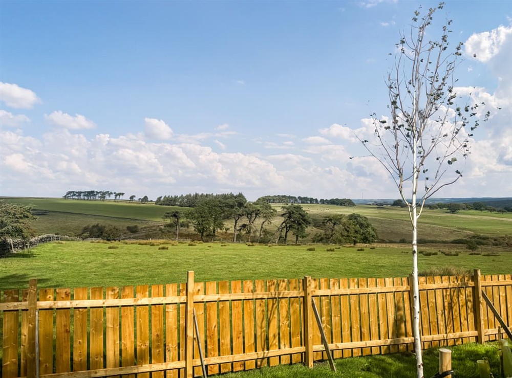 View at Emerald Pines in Hexham, Northumberland