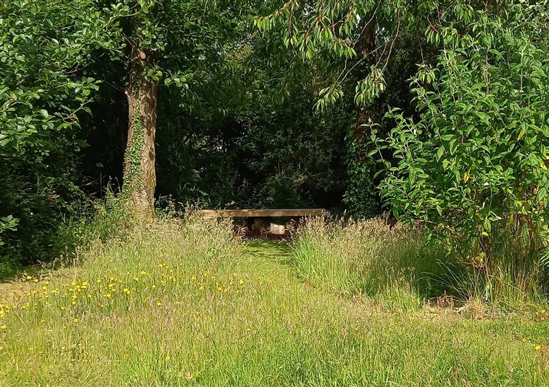 The garden at Emma 6, Llandegfan