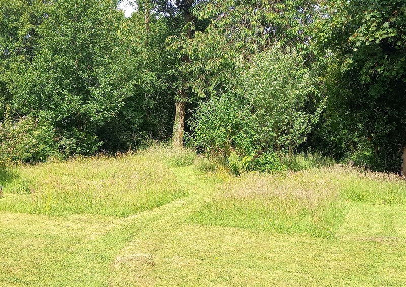 This is the garden at Emma 6, Llandegfan