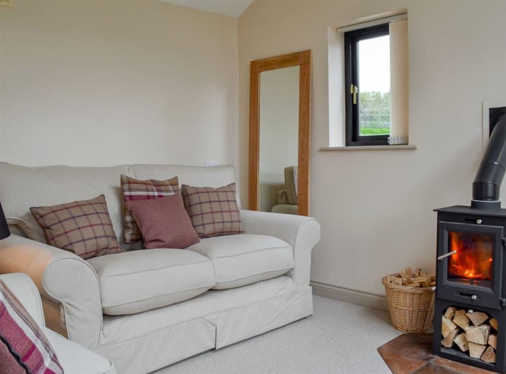 Charming living room with wood burner at End Cottage in Tibthorpe, near Driffield, North Humberside