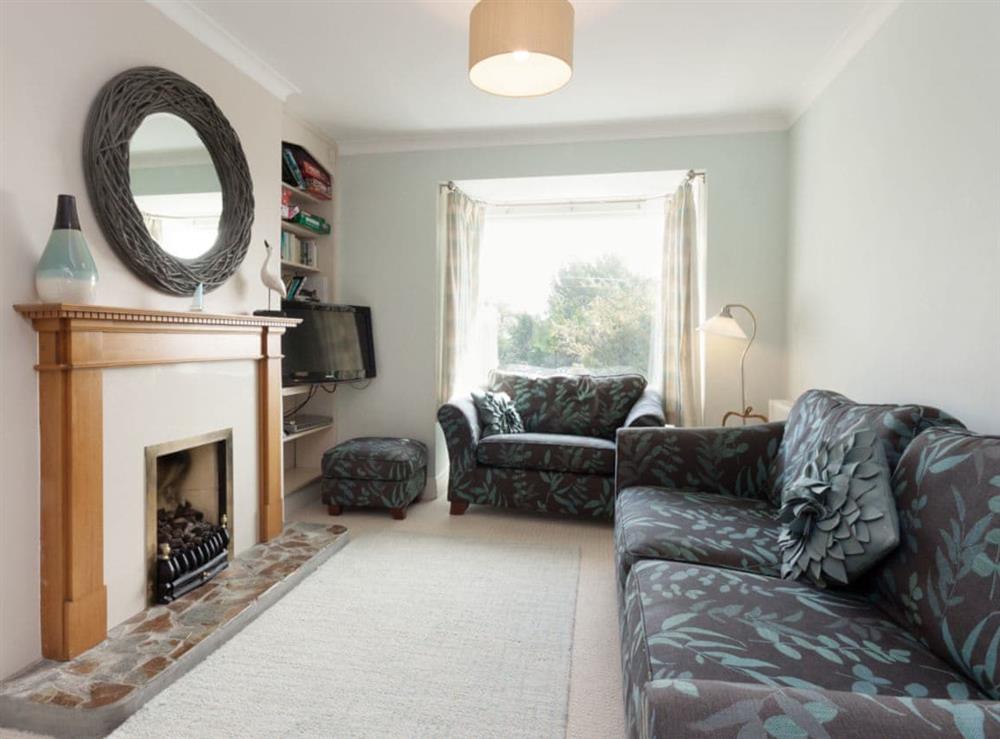 Comfortable living room with feature fireplace at End House in Coronation/Forster, Devon
