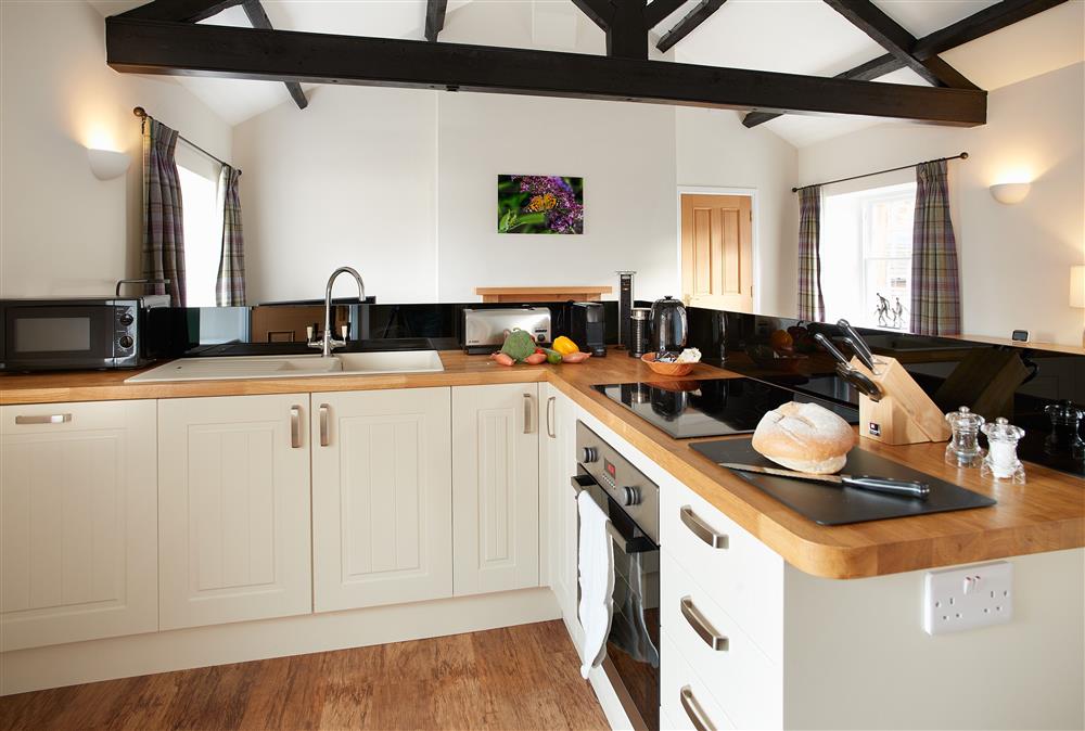 Open-plan kitchen and sitting room area with feature exposed beams and rafters at Engineer Apartment, Netherby Hall, Longtown