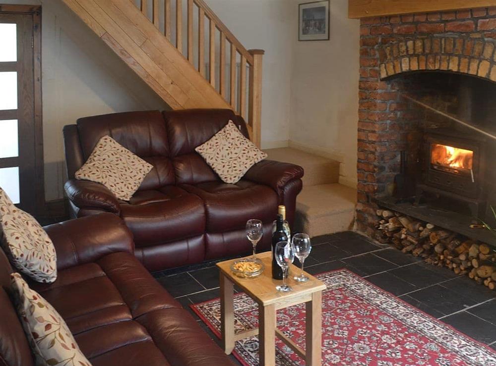 Relaxing living room with wood burner at Enlli in Llanuwchllyn, near Bala, Gwynedd