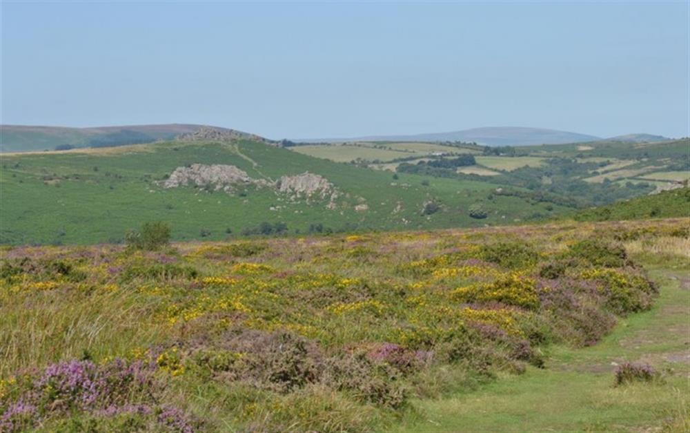 Dartmoor offers numerous stunning walking opportunities. at Enthurst Cottage in Didworthy