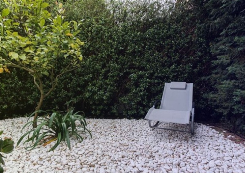 The garden in Equinox: Elegant house with a swimming pool at Equinox: Elegant house with a swimming pool, Cornwall