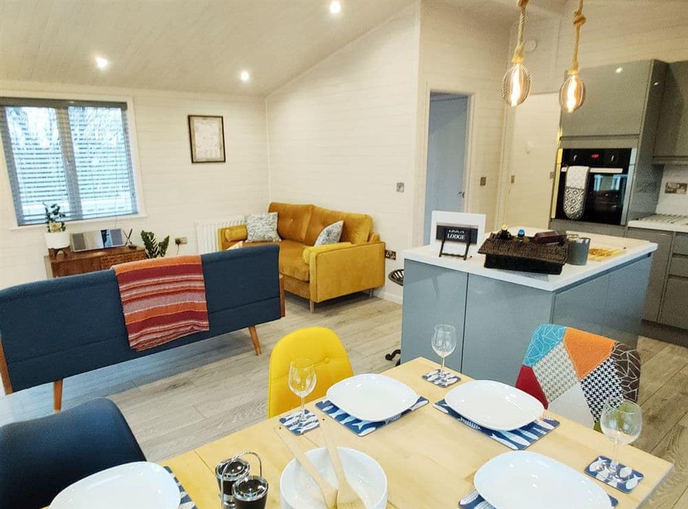 Open plan living space (photo 2) at Erica Lodge in Findern, Derbyshire