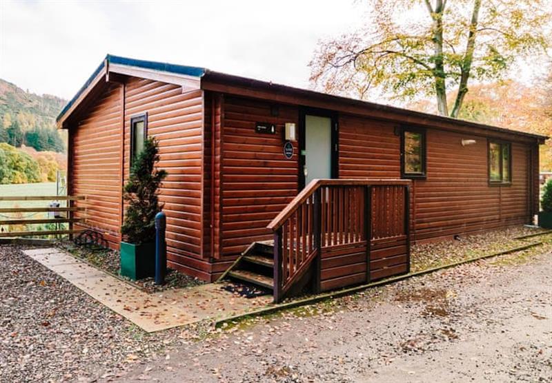 The Woodland View Lodge 3 at Erigmore Leisure Park in Birnam by Dunkeld, Southern Highlands
