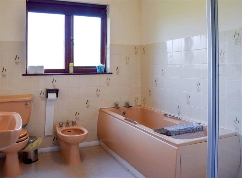 Bathroom with separate shower cubicle at Erwlon in Pontsian, near Llandysul, Dyfed