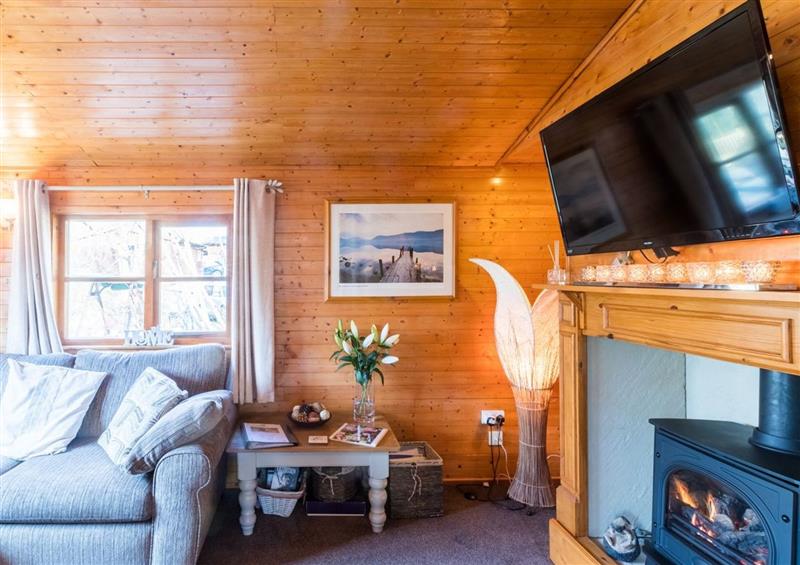 Enjoy the living room at Esk Pike Lodge, Skiptory Howe 9