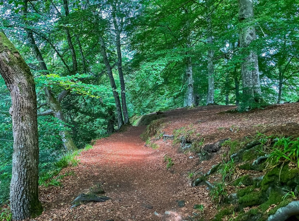 Surrounding area (photo 2) at Eskside Lodge in Brechin, Aberdeenshire