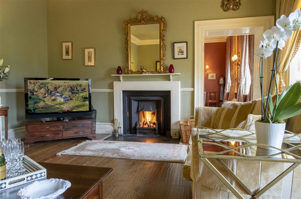 The sitting room boasts an open fire and Smart television at Eslington East Wing, Alnwick