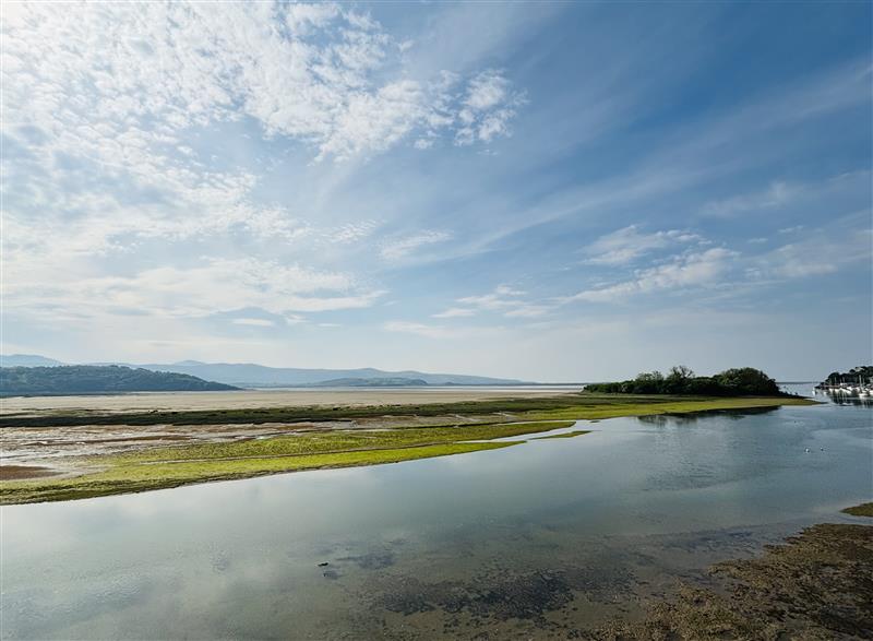 The setting around Estuary Escape