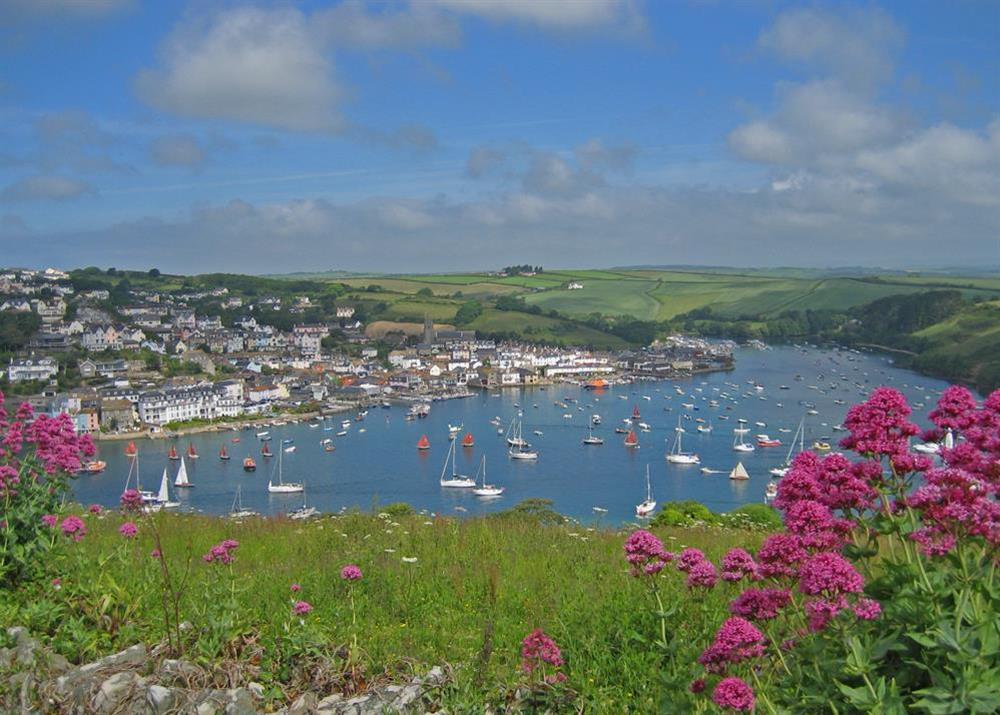 Nearby Salcombe harbour and town