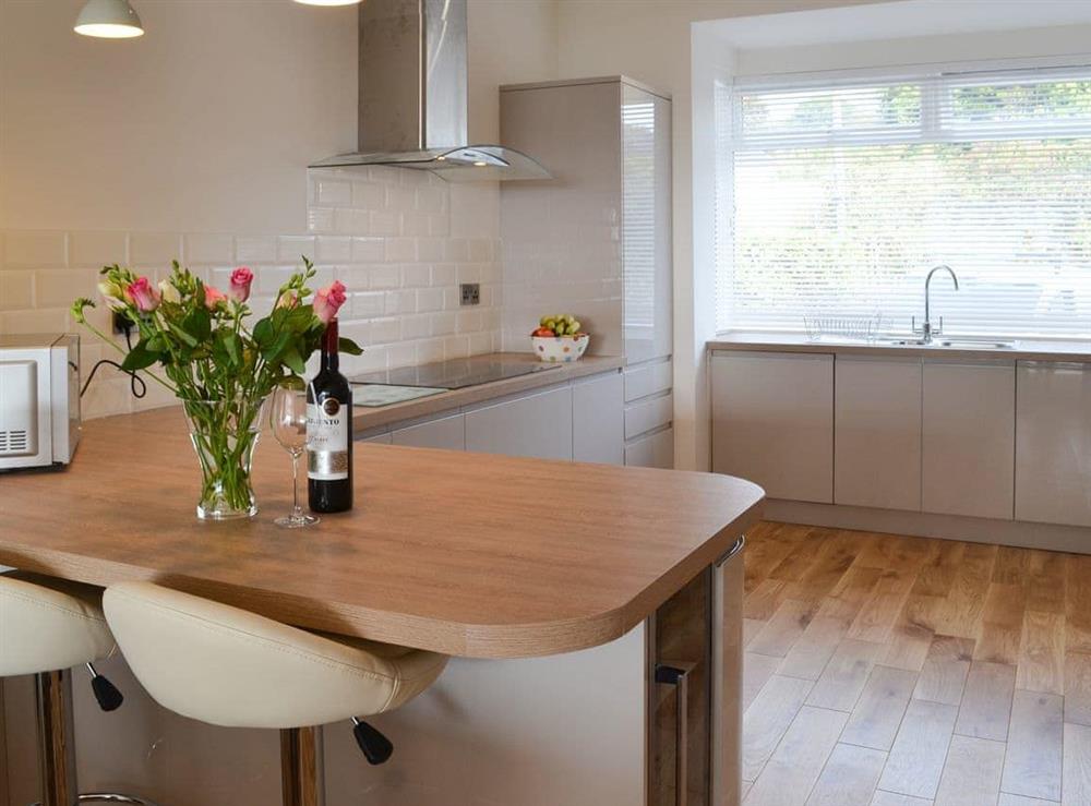 Attractive well appointed kitchcen with breakfast bar at Estuary View in Exmouth, Devon