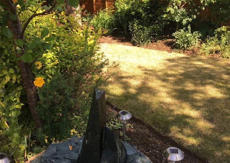 The garden in Evergreen (photo 2) at Evergreen, Broadway