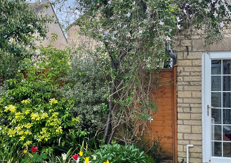 The garden at Evergreen, Broadway