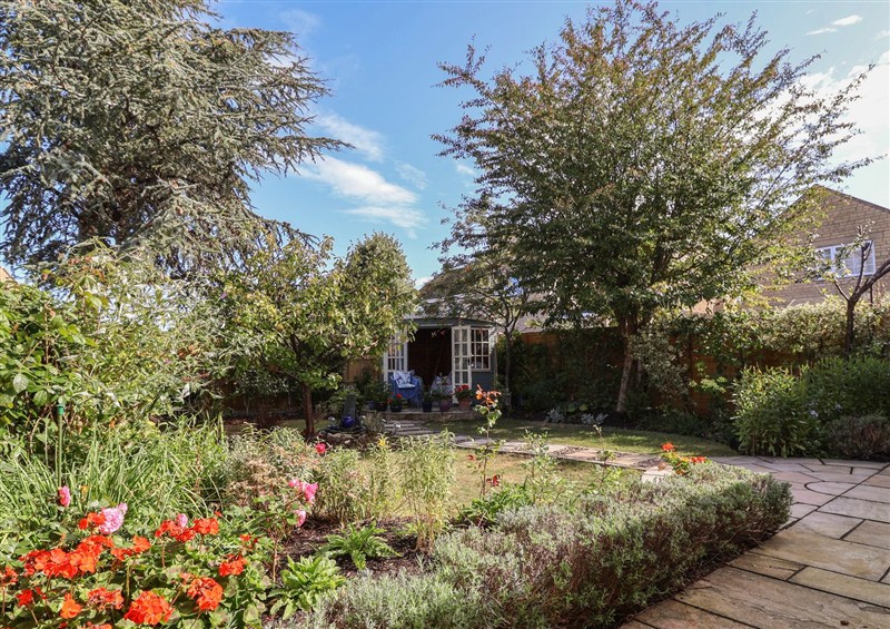 This is the garden at Evergreen, Broadway