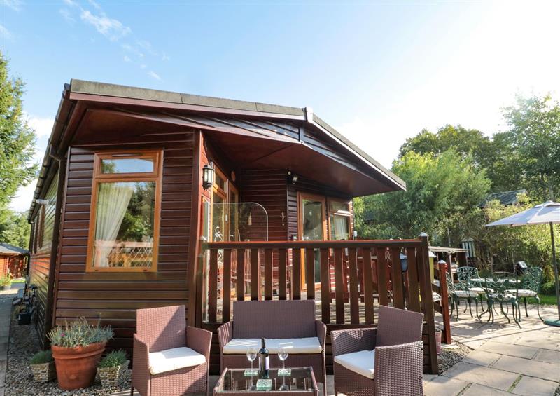 The setting of Evergreen Lodge