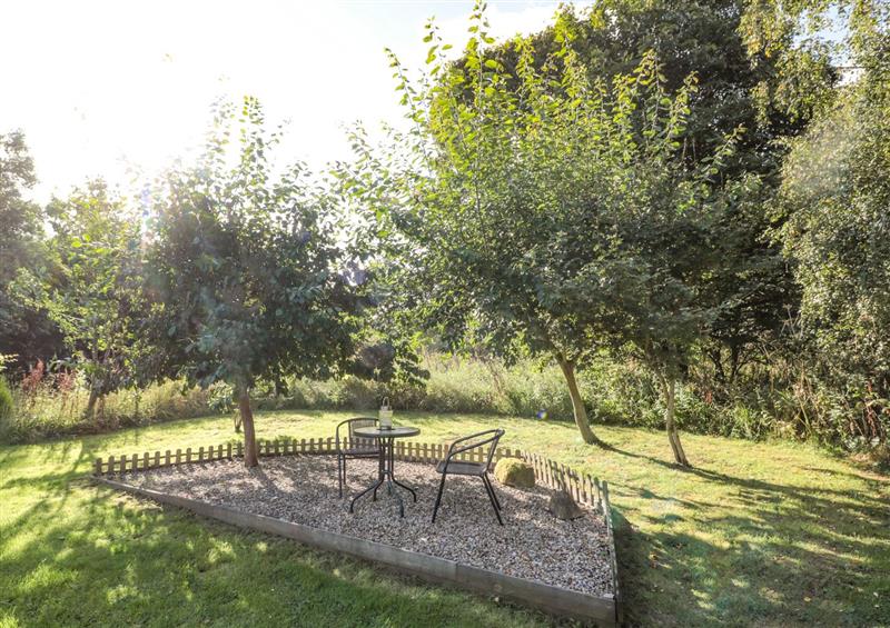 The setting of Evergreen Lodge
