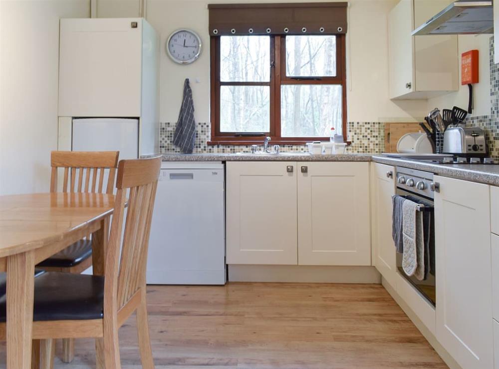 Well-equipped fitted kitchen at Silver Birch Lodge, 