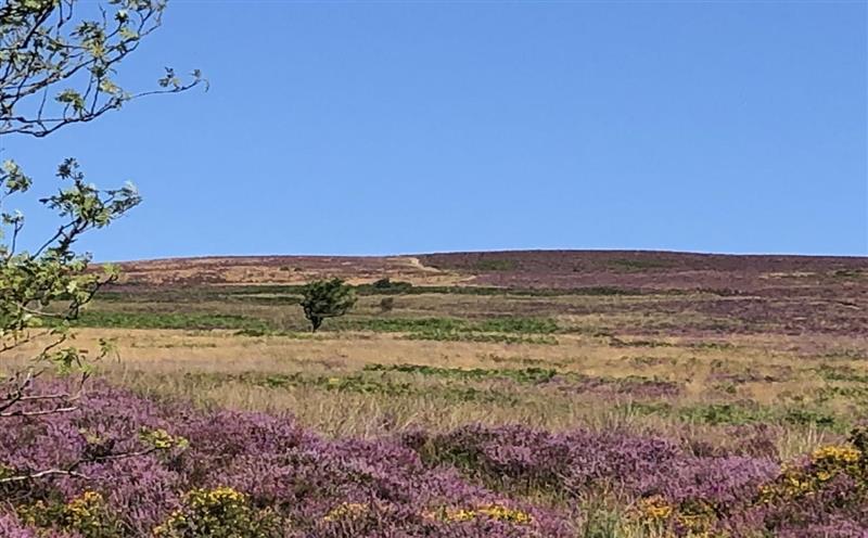 The area around Exford Cottage