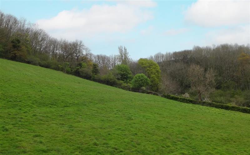 The setting of Exmoor View