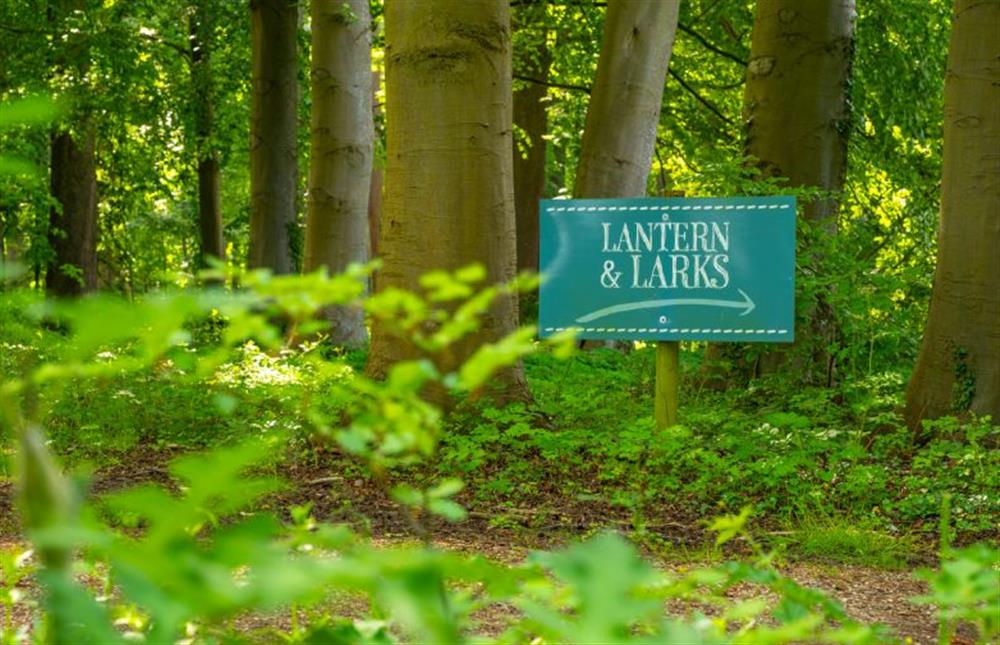 Exton Park at Lantern and Larks