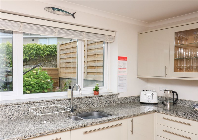 The kitchen at Eydon, Salcombe